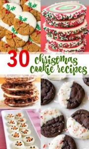 30 Christmas Cookie Recipes :: Southern Savers