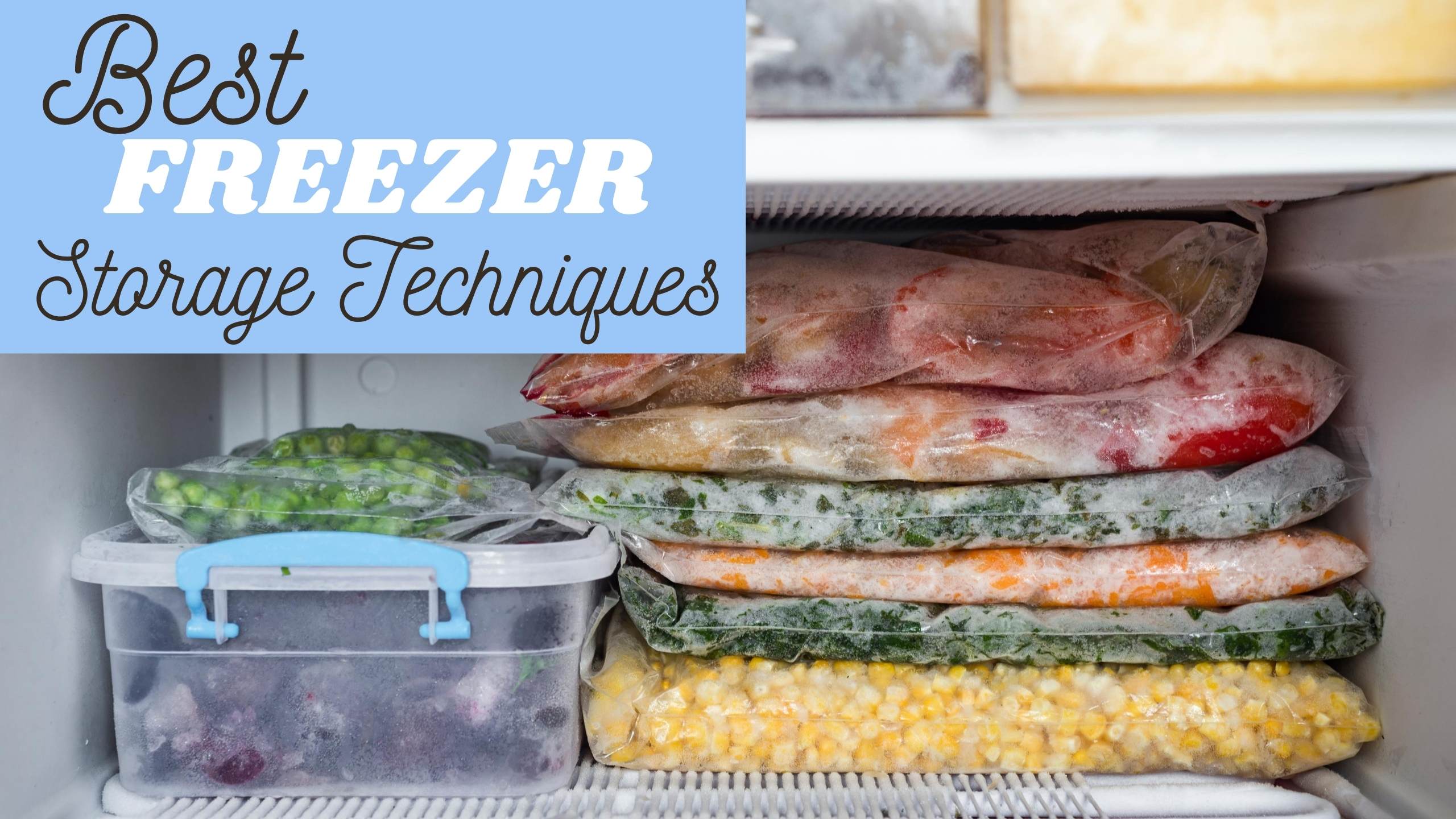 The Best Storage Containers for Freezing Food