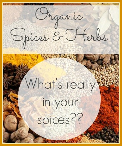 Organic Living Journey: Organic Spices and Herbs :: Southern Savers