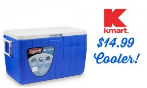 buy cooler kmart