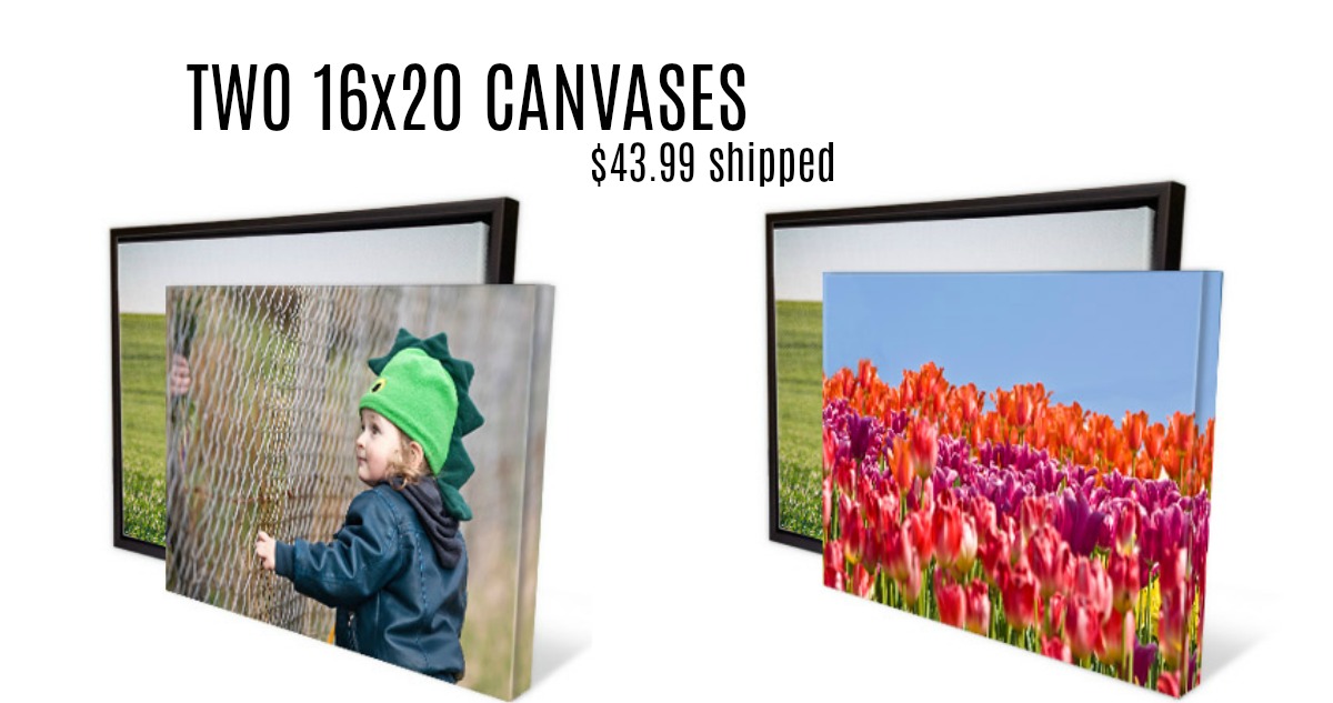 Two 16x20 Canvas Prints for 43.99 Shipped! Southern Savers