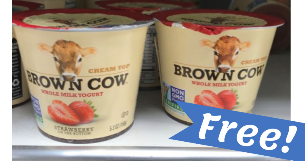 Free Brown Cow Yogurt at Publix & BiLo Southern Savers