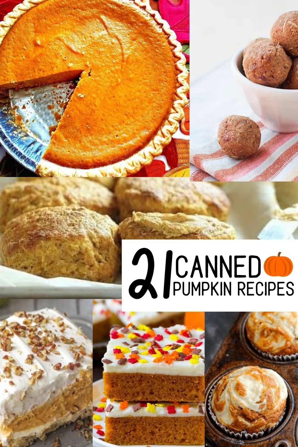 21 Pumpkin Recipes Using Canned Pumpkin :: Southern Savers