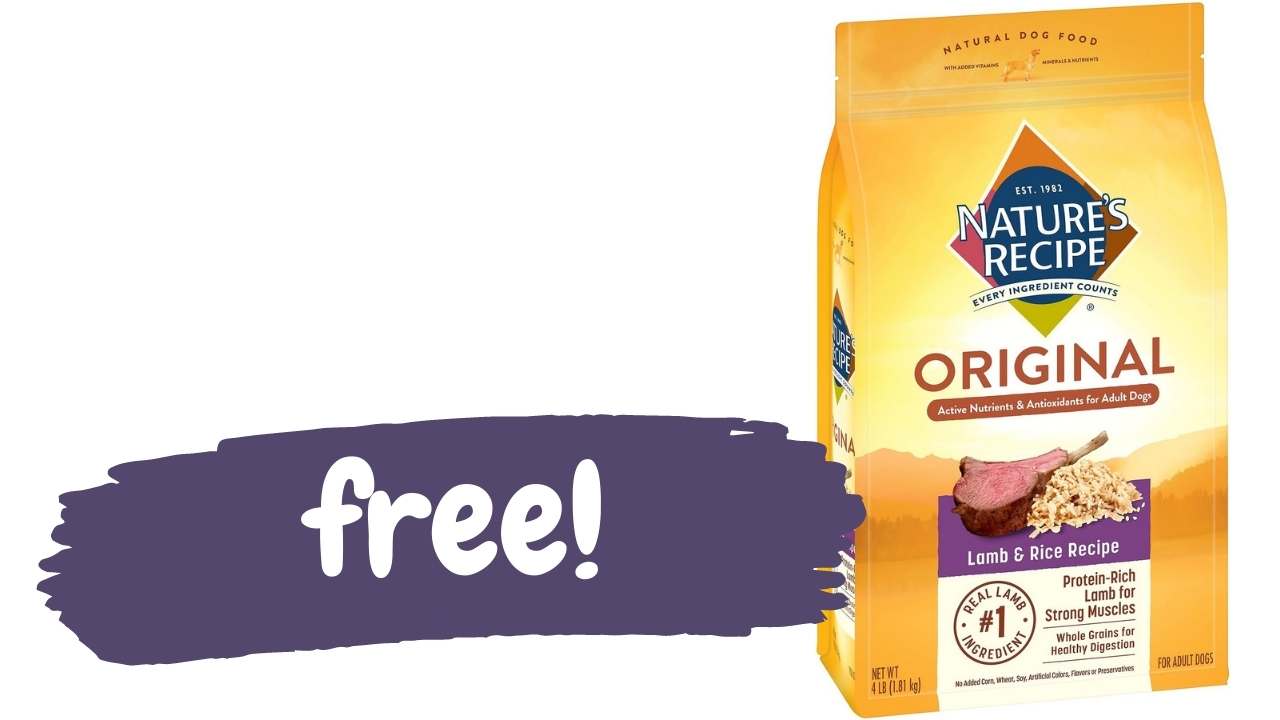 Nature's recipe grain hotsell free dog food coupon