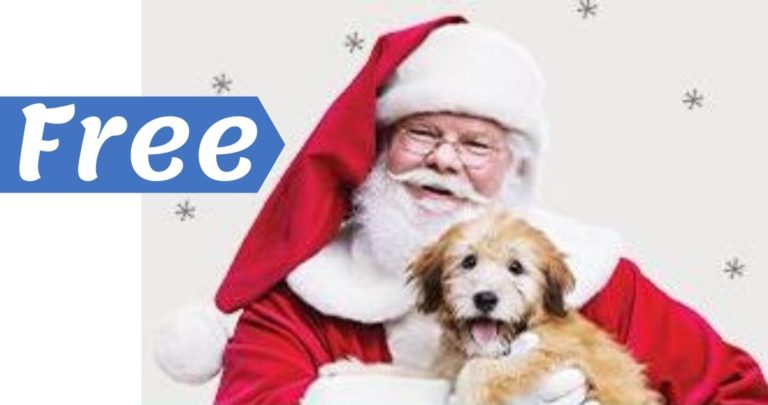 walmart christmas ad with dog keep it coming now