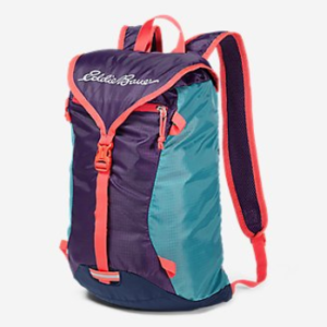 eddi bauer backpack