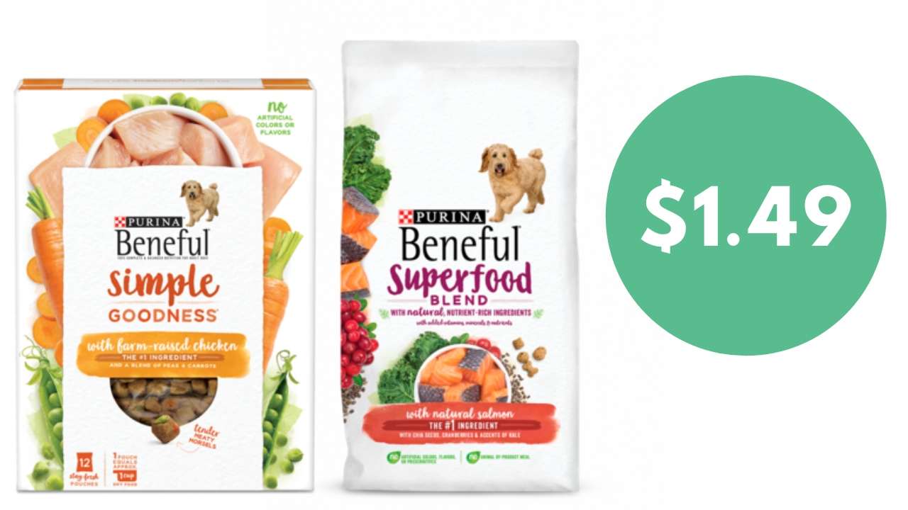 beneful superfood dog food