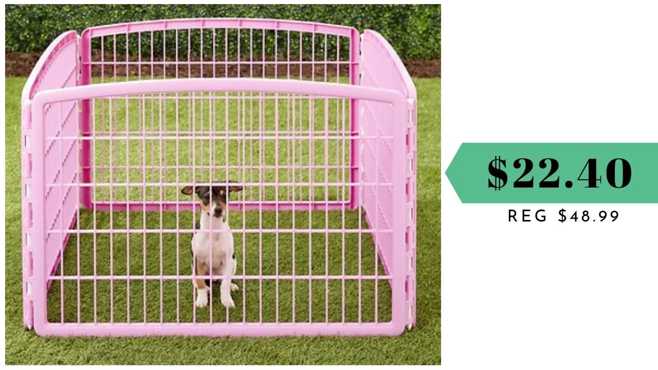 Iris dog outlet fence