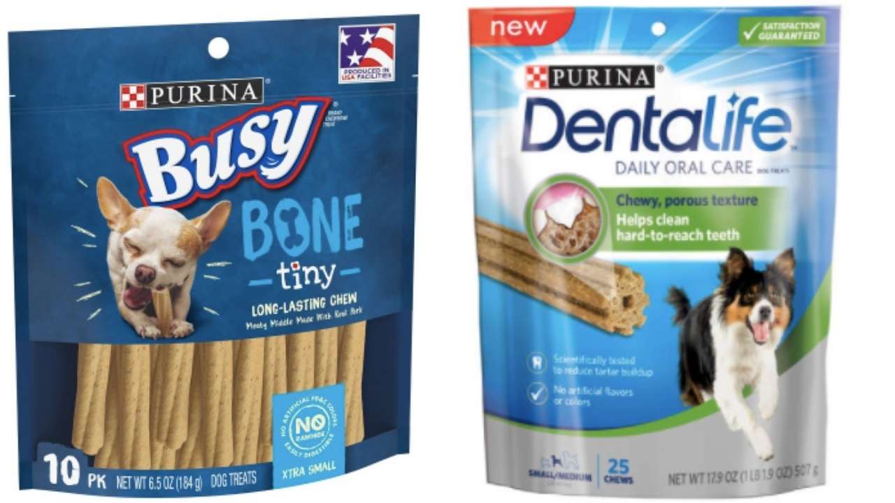 Stacking Deals to Save on Purina Dog Treats at Target Southern Savers