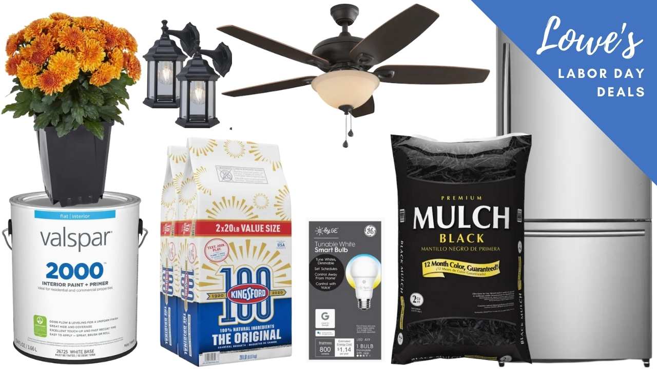 Lowe's Labor Day Deals = 1 Mums and More! Southern Savers
