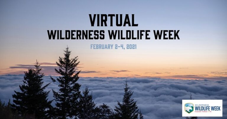Free Online Wilderness Wildlife Week For All Ages :: Southern Savers