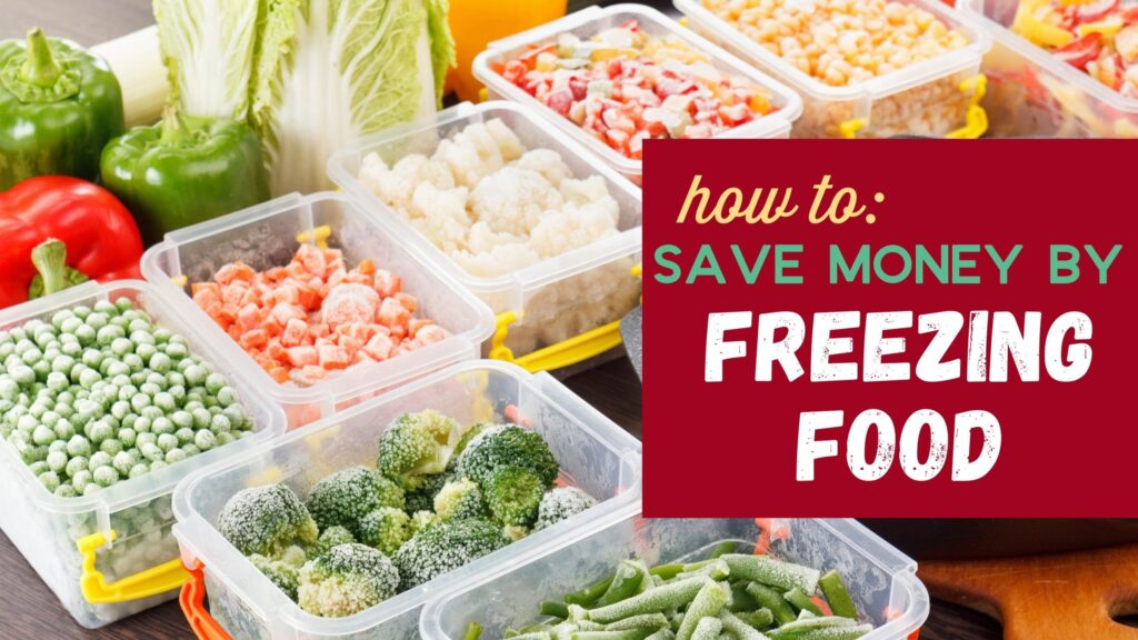 How to Save Money by Freezing Food :: Southern Savers