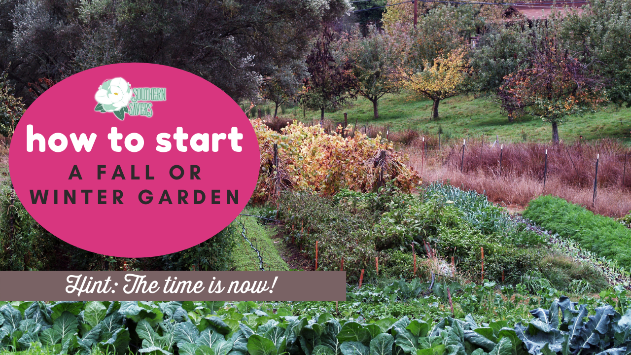 How To Start A Fall Or Winter Garden Southern Savers