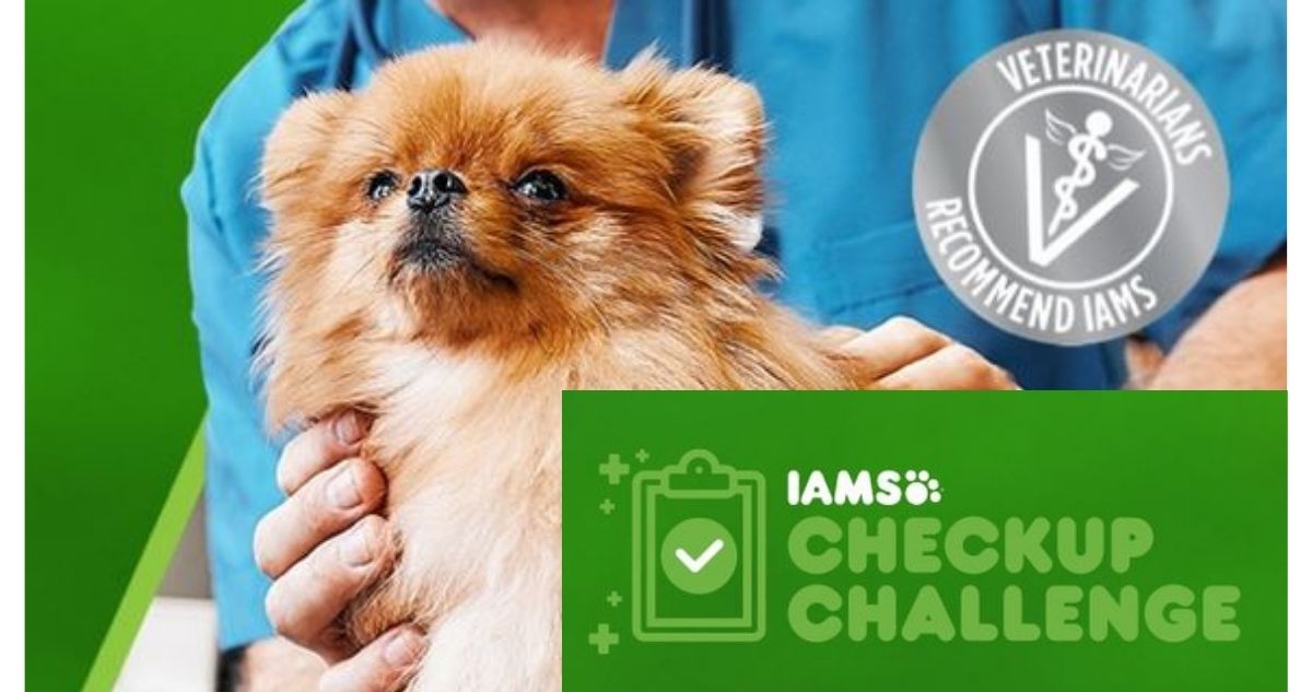 Iams Checkup Challenge Get Up to 200 For Vet Checkup Southern Savers