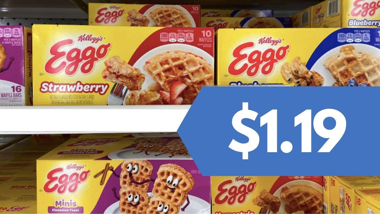 Publix eCoupon Get Eggo Waffles for 1.19 Southern Savers