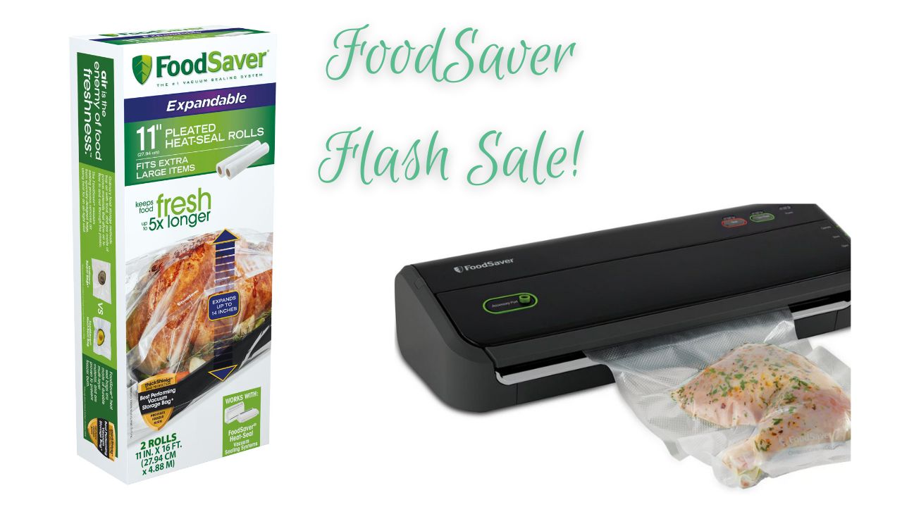 FoodSaver FM5460 2-in-1 Food Preservation System Vacuum Sealer