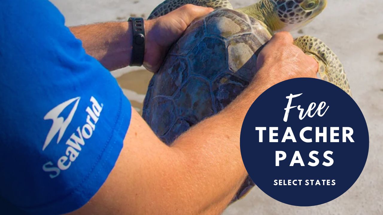 Free SeaWorld Pass For Teachers In Select States Southern Savers