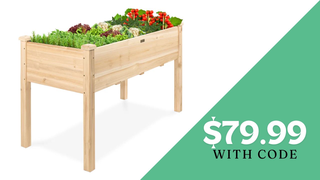 BCP Code | $20 Off Raised Garden Bed :: Southern Savers