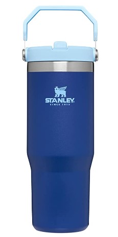 STANLEY Quick Flip Go Insulated 24 oz. Aloe Stainless Steel Water