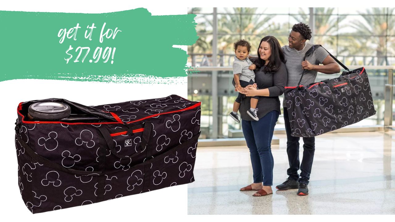 Disney Baby Stroller Travel Bag Just $27.99 Shipped on  (Reg. $56)