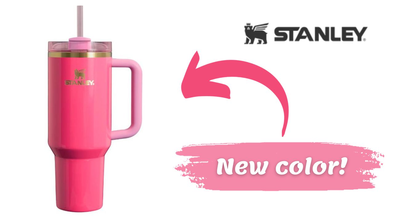 Brand New Limited Edition Black Friday Stanley in Pink Parade
