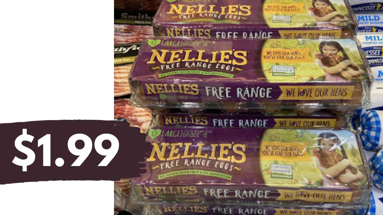 $1.99 Nellie's Free Range Eggs At Publix :: Southern Savers