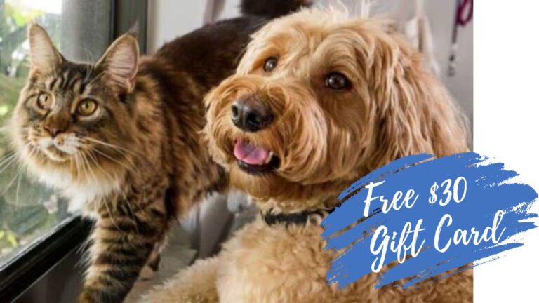 FREE $30 Gift Card w/ $100 Purchase at Chewy.com :: Southern Savers