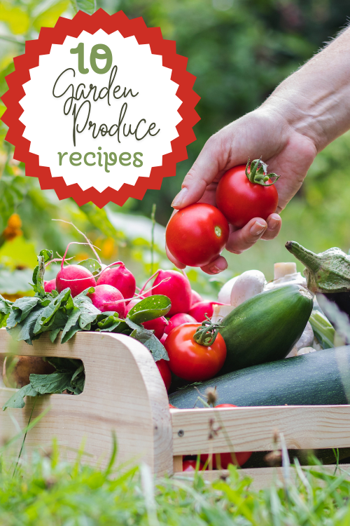 If your garden is exploding, then you don't want any of that delicious food to go to waste. Here are some of my favorite garden produce recipes.