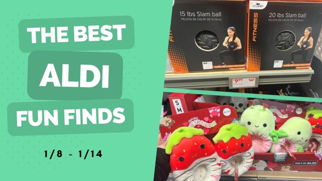 Aldi Fun Finds 20Lb. Slam Ball Just 9.99, New Squishmallows & More